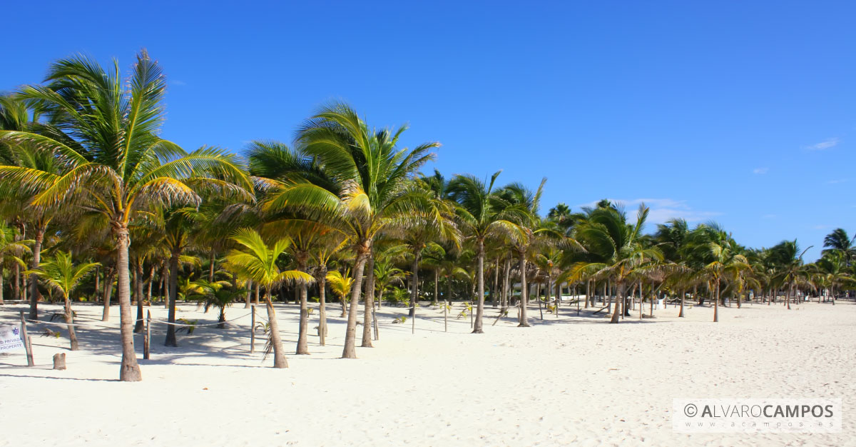 Playa de Akumal / Akumal Beach