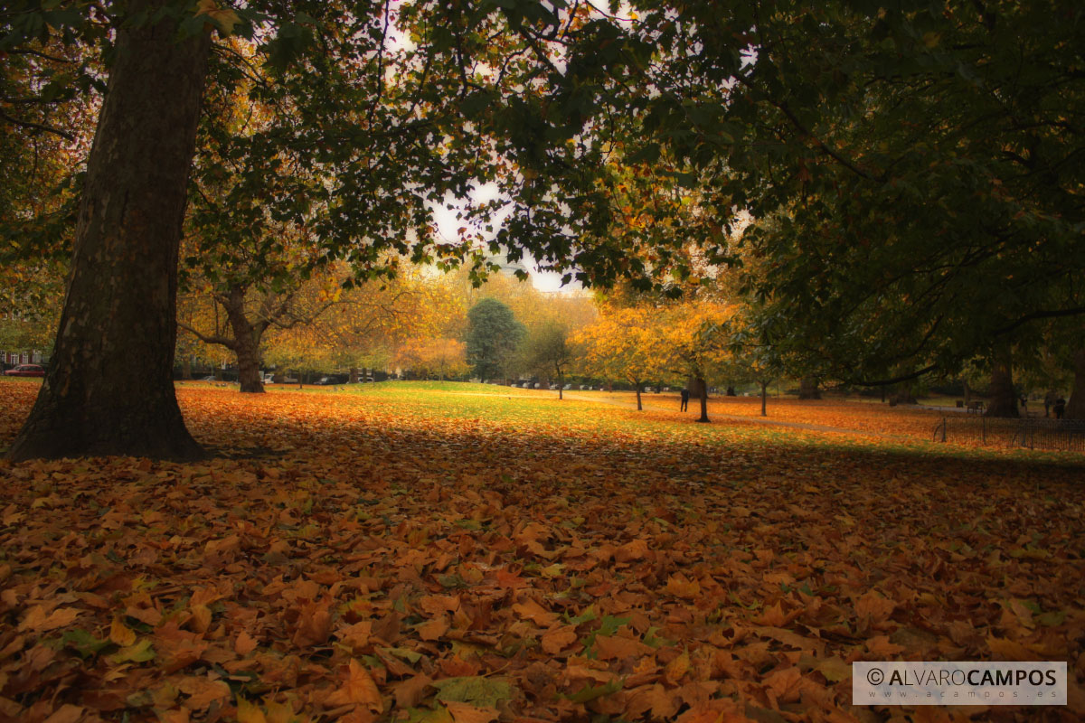 Saint James Park (Londres)