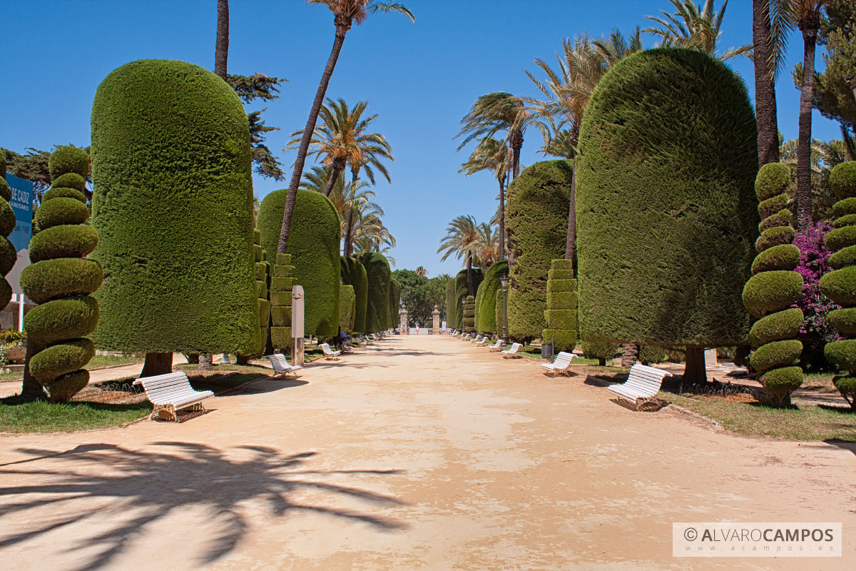 Parque Genovés de Cádiz