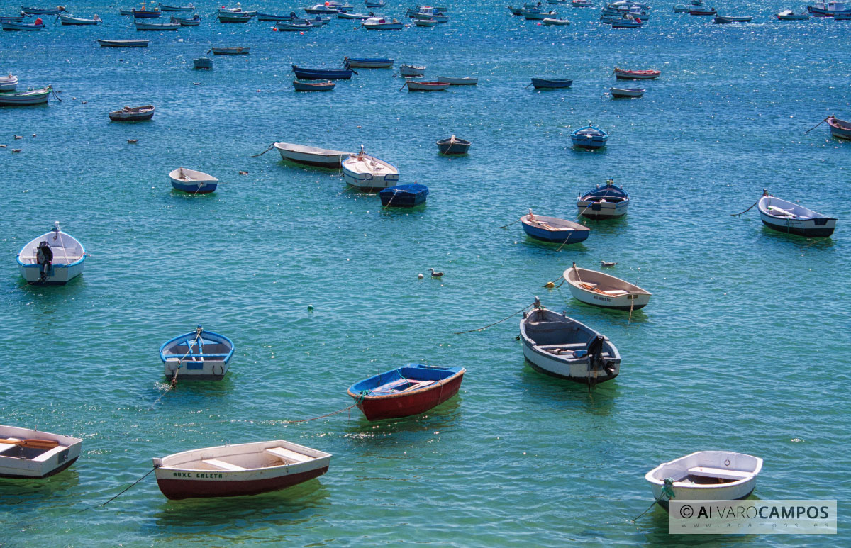 Barcas en Cádiz