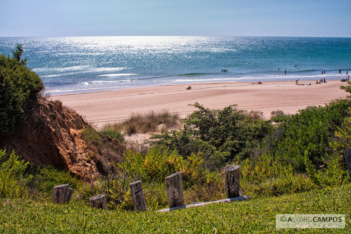 Vistas de la playa de Roche