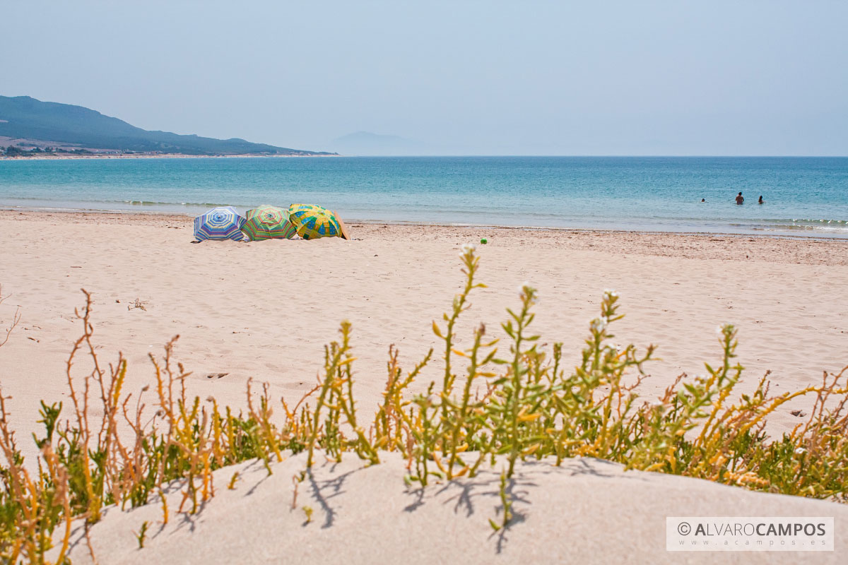 Playa de Bolonia, Cádiz