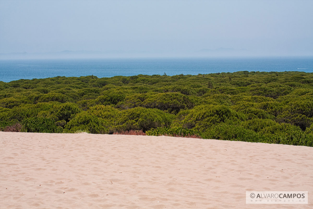 Contrastes desde la Duna de Bolonia en Cádiz