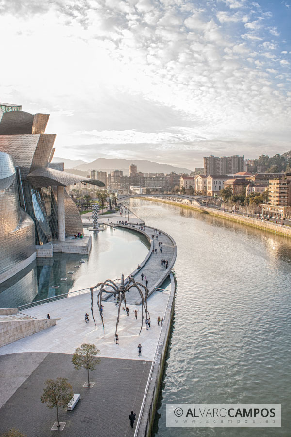 Museo Guggenheim de Bilbao