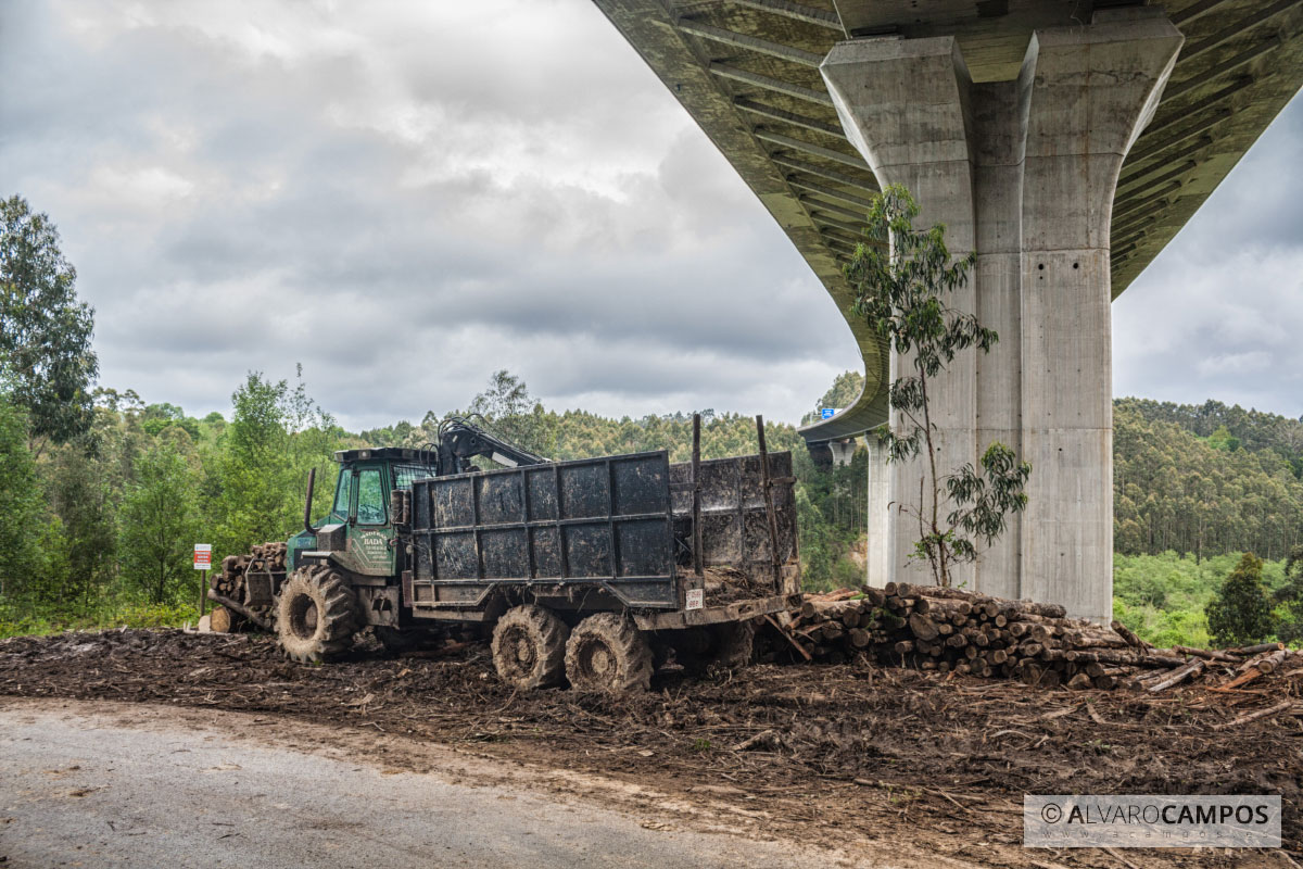 Camión grúa debajo de la autopista