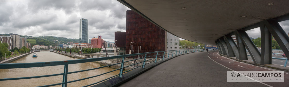 Panorámica desde el puente Euskalduna con vistas a la ría de Bilbao