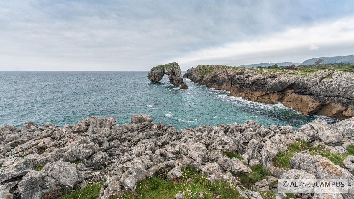 Castro de las gaviotas en Asturias