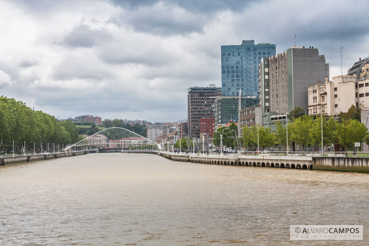 El puente Zubizuri, las torres Isozaki y la ría de Bilbao