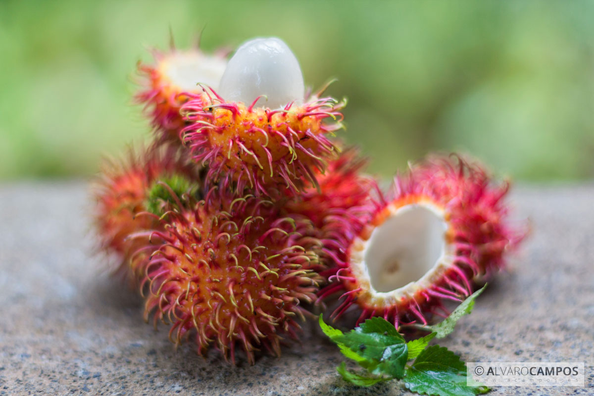 Rambután