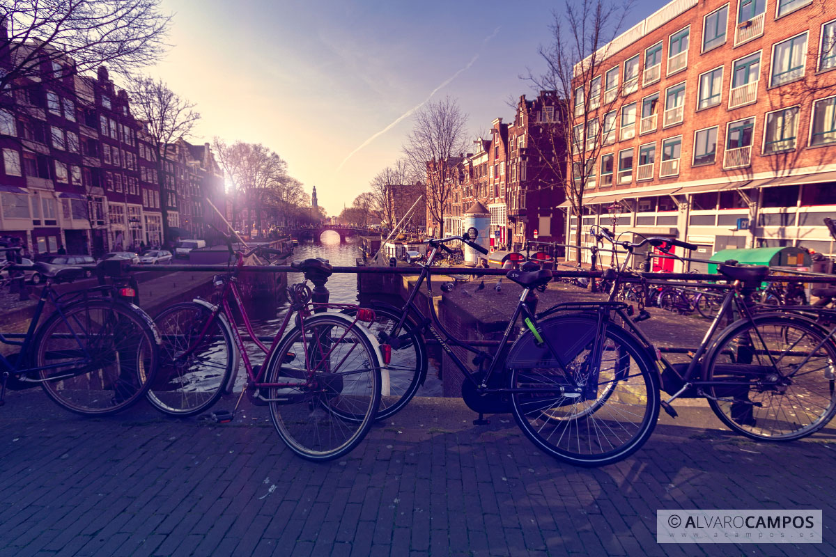 Bicicletas en Amsterdam