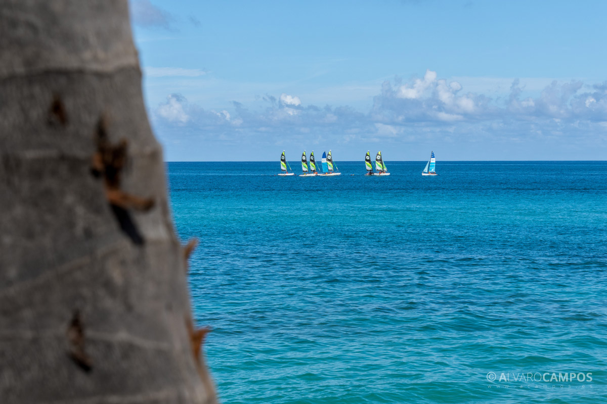 Catamaranes en Varadero (Cuba)