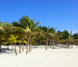 Playa de Akumal / Akumal Beach