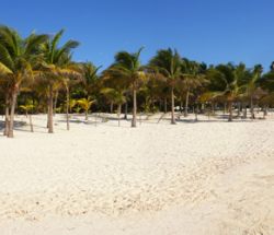 Panorámica Playa de Akumal / Akumal Beach Panoramic