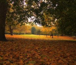 Saint James Park (Londres)