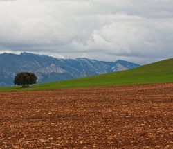 Contraste de tierras