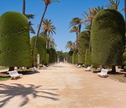 Parque Genovés de Cádiz