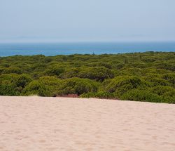 Contrastes desde la Duna de Bolonia en Cádiz