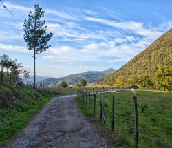 De camino al bosque de Oma II