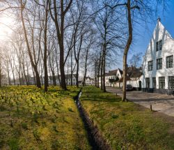 Panorámica del parque en El Béguinage de Brujas