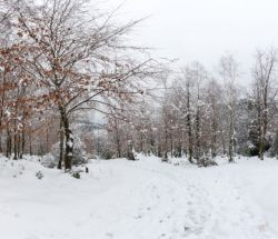 Panorámica monte nevado