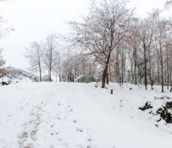 Panorámica subiendo al monte de Lemoa nevado