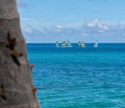 Catamaranes en Varadero (Cuba)